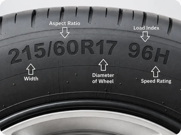 A technician checking tyre fitment against a vehicle